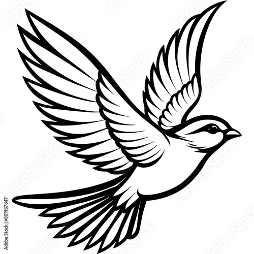 Bird flying line art vector illustration