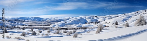 Panoramic view of a snowy mountain landscape