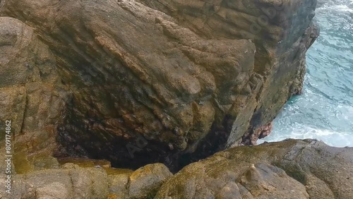 Black crab crabs on cliffs stones rocks Puerto Escondido Mexico. photo