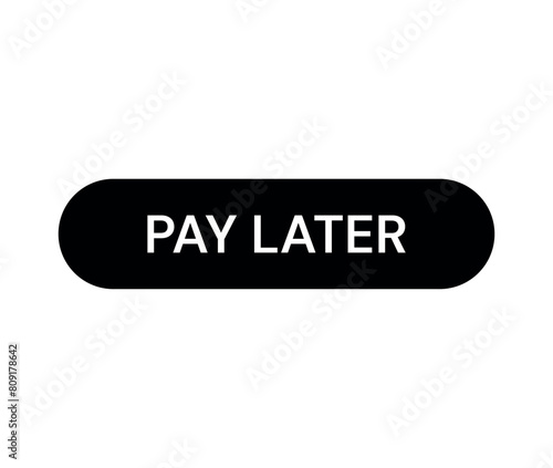 Pay Later Button Isolated On White Background