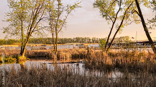 Photography Marsh at Golden Hour in the Spring