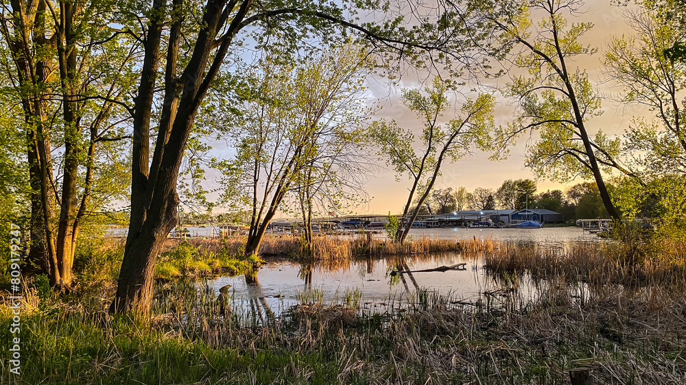 Fototapeta premium Marsh at Golden Hour in the Spring