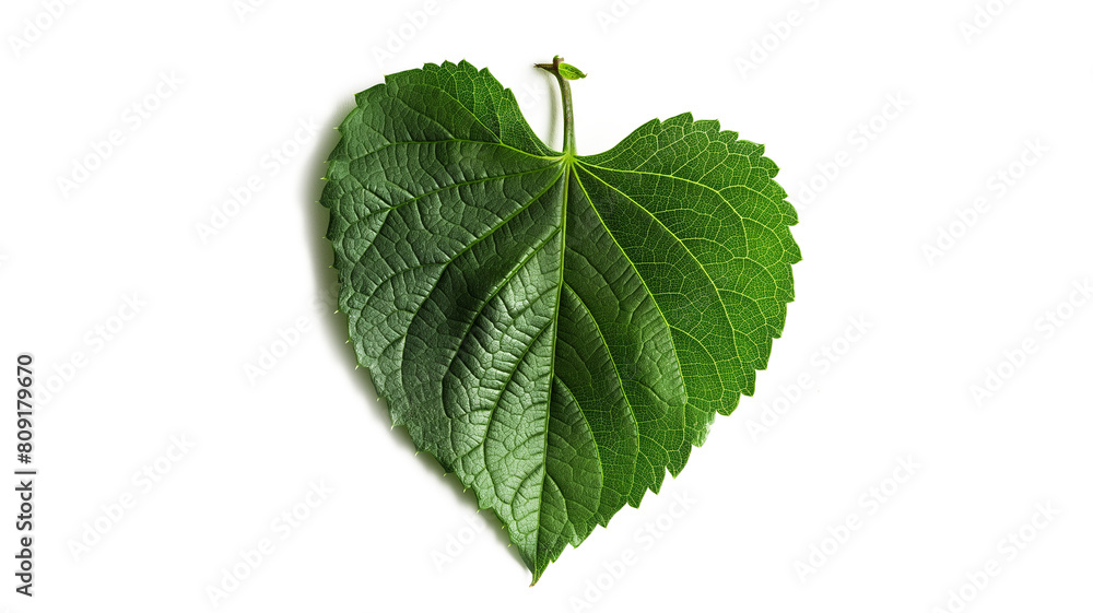 a green leaf is shown in the shape of a heart green leaf isolated on a transparent background