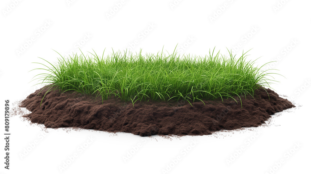 A round soil ground section isolated on a transparent background A round soil ground section isolated on a transparent background