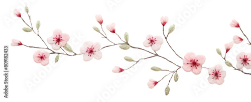PNG Little sakura flower blossom pattern plant.