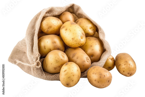 Close-up of Ripe Potatoes in a Burlap Bag on transparent background