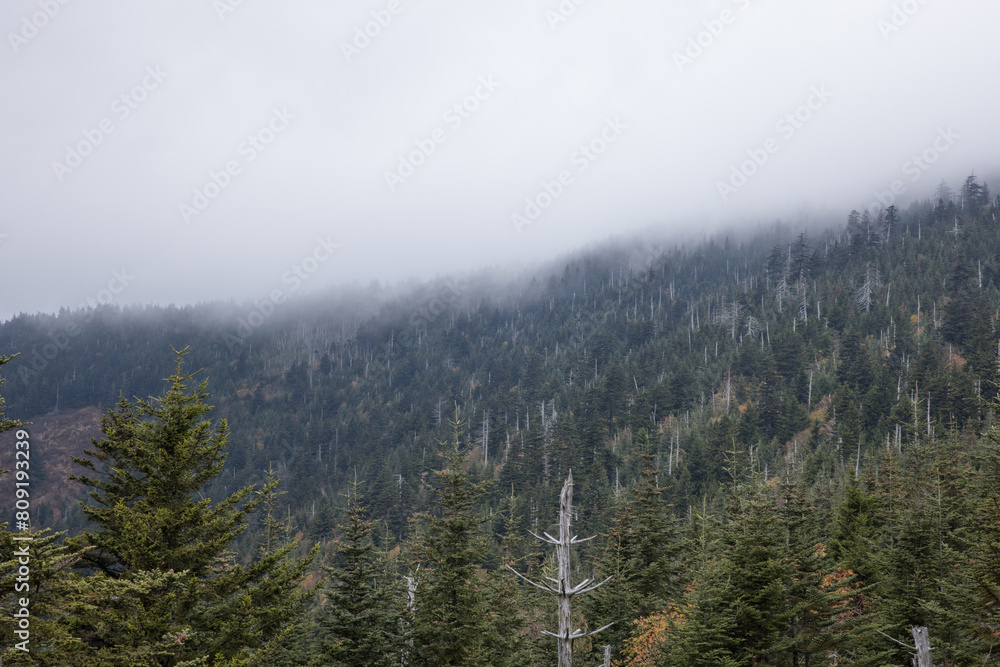 Obraz premium Smoky Mountains with low clouds