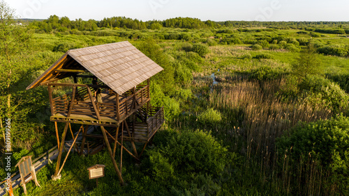 Fotografie aerial view from above of swamps in poland in spring