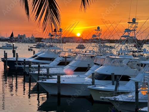 singer island florida sis fish marina palm beach shours florida sail fish marina and docks  