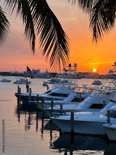singer island florida sis fish marina palm beach shours florida sail fish marina and docks  