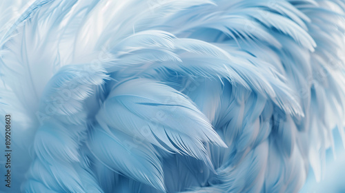 Wallpaper Mural Light blue feathers, soft and fluffy texture, background, closeup, light tone, photography style, macro lens, natural lighting, soft tones, delicate feather details. Torontodigital.ca