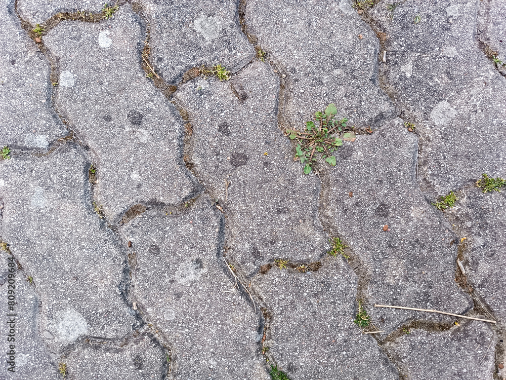 Obraz premium stone wall