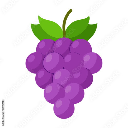Bunch of purple grapes vector, green leaves, white background