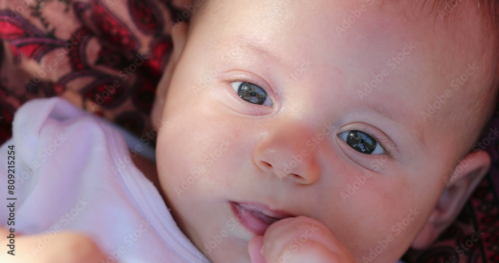 Cute adorable newborn baby infant looking to camera chewing hand awake Cute adorable newborn baby infant looking to camera chewing hand awake