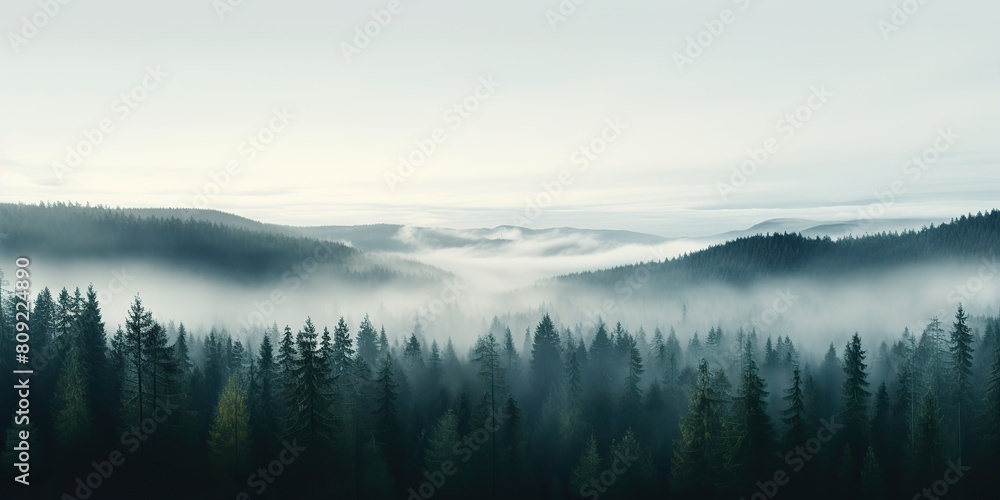 Fototapeta premium Air aerial nodric forest evening fog misty weather scene view. Adventure explore trip travel vibe inspiration