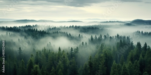 Air aerial nodric forest evening fog misty weather scene view. Adventure explore trip travel vibe inspiration