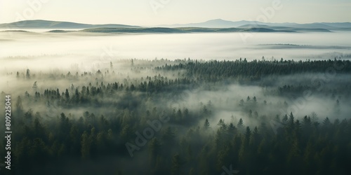 Air aerial nodric forest evening fog misty weather scene view. Adventure explore trip travel vibe inspiration