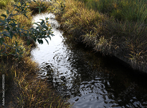  Small stream surrounded by small grass and trees © Poprock3d