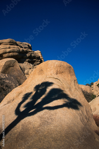 The shadow of a joshua tree falls on a granite rock formation in Joshua Tree National Park, California photo