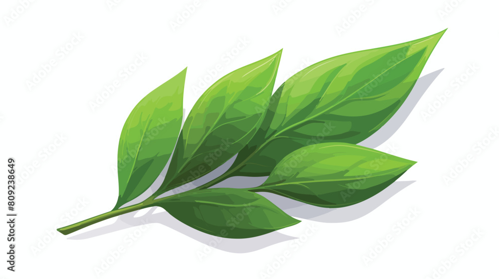 One green leaf icon. Fresh herbal tea foliage. Vect