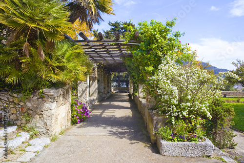  Garden of the Cimiez Monastery in Nice, France photo