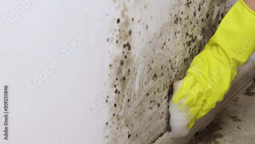 Cleaning mold from the wall. The concept of detergents against fungus.