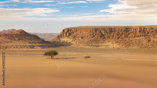 Desert Scenery in Wadi Rum  Jordan.  