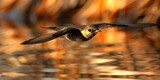 Swiftly Flying Common Swifts at a Lake, Trees Reflected. Concept Birdwatching, Nature Photography, Wildlife Encounters, Reflections in Water, Common Swifts