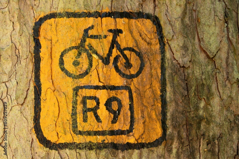 Oznaczenie leśnej drogi rowerowej na drzewie