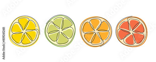 Circle citrus slices. Lime lemon orange grapefruit half isolated on white. Fresh juicy tropical fruit. Ingredient for lemonade, cocktail, antioxidant drink, dessert. Element for summer design