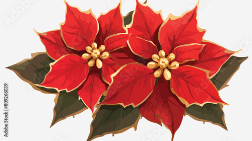 Red poinsettia flower for Christmas decoration isol