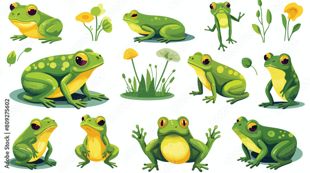 Set of happy frogs funny toads and cute tadpoles. S