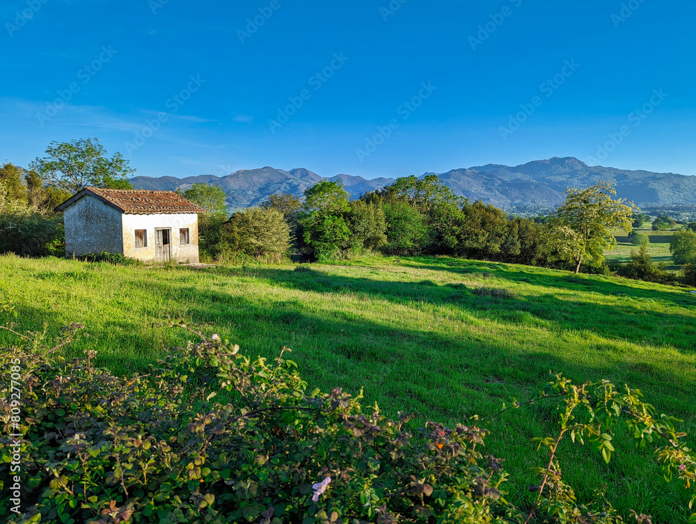 Cabin and meadows near Verdera village, Nava municipality, Asturias, Spain