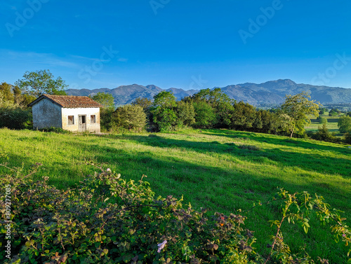 Cabin and meadows near Verdera village, Nava municipality, Asturias, Spain
