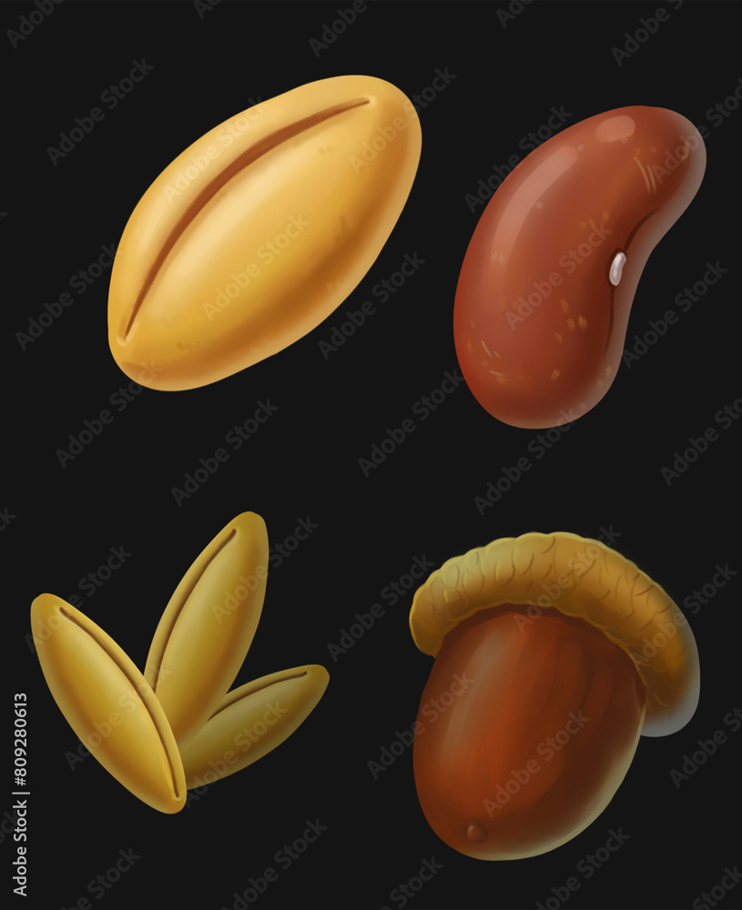 Four Grain Props Illustration Set Four Grain Props Illustration Set
