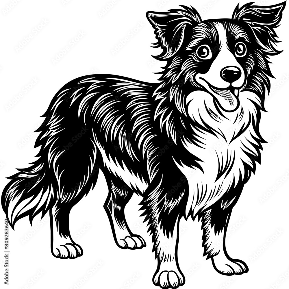 Fototapeta premium Графика и иллюстрации