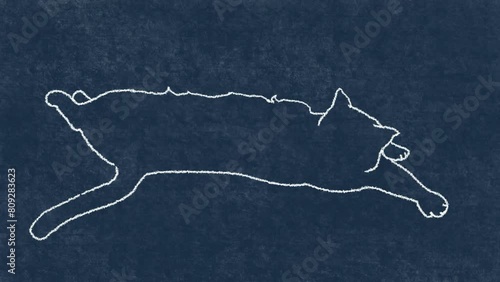 cute cat rolling and stretching, hand drawn frame-by-frame rotoscope animation on dark blue background
 photo