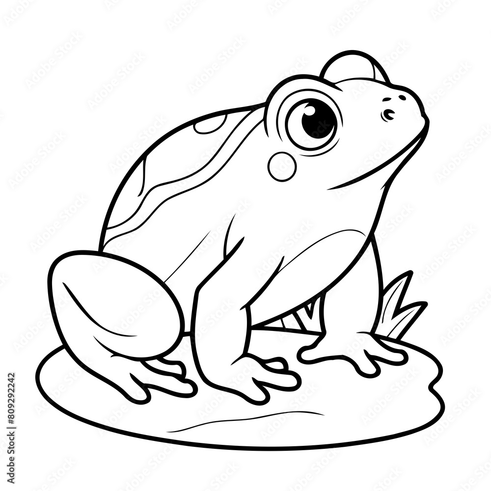 Vector illustration of a cute Bullfrog drawing for toddlers coloring activity Vector illustration of a cute Bullfrog drawing for toddlers coloring activity