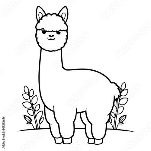 Vector illustration of a cute Alpaca doodle for kids colouring page