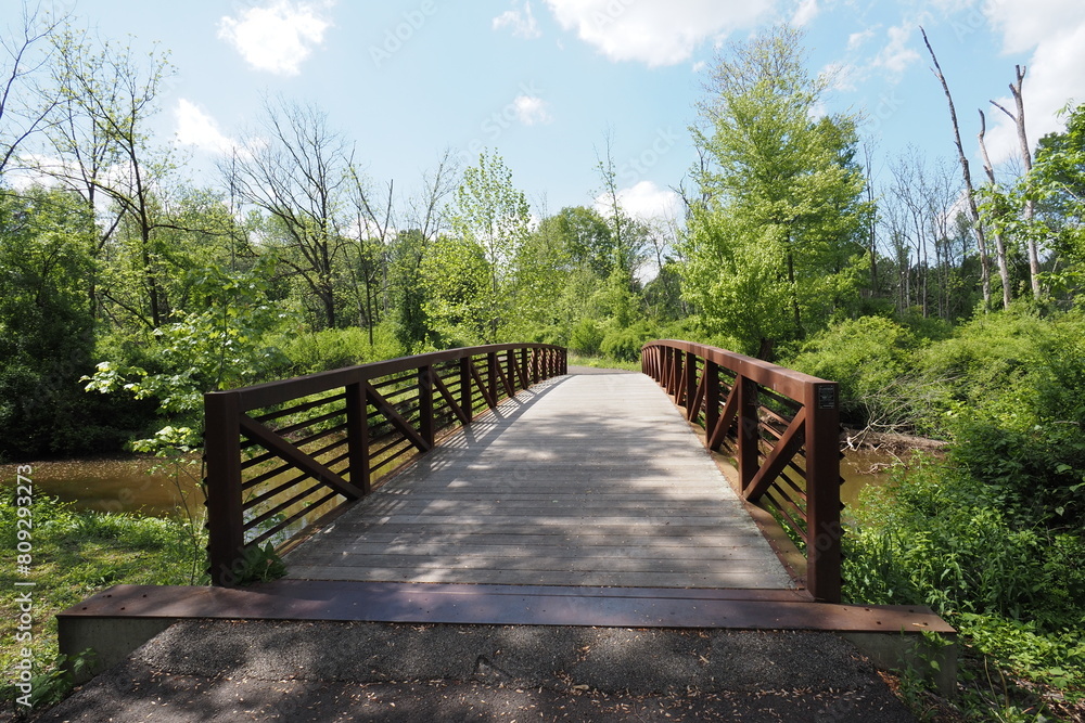 Fototapeta premium The wooden footbridge in the park.