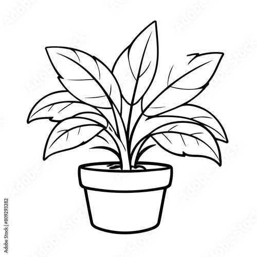 Cute vector illustration IndoorPlant doodle colouring activity for kids