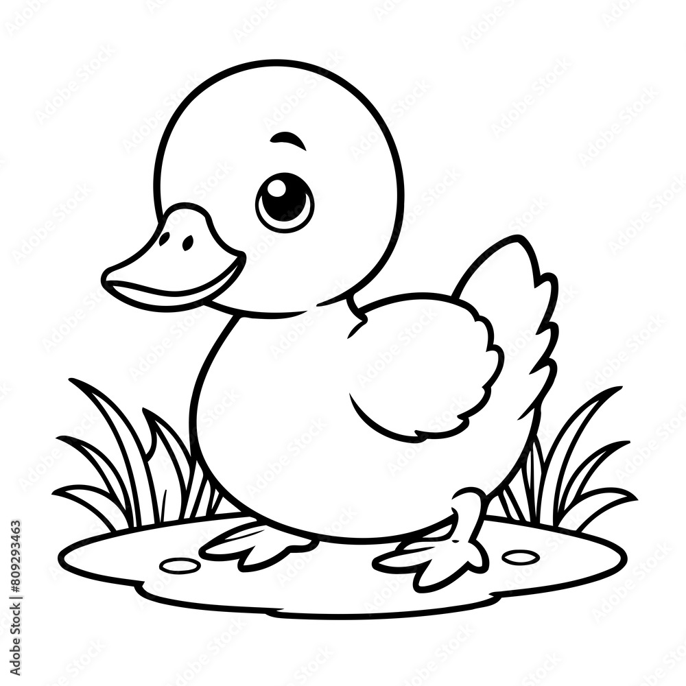 Vector illustration of a cute Duck doodle for toddlers worksheet Vector illustration of a cute Duck doodle for toddlers worksheet