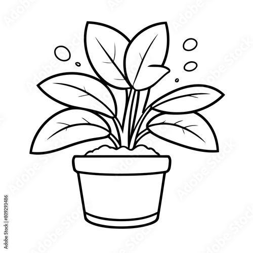 Simple vector illustration of IndoorPlant for children colouring activity