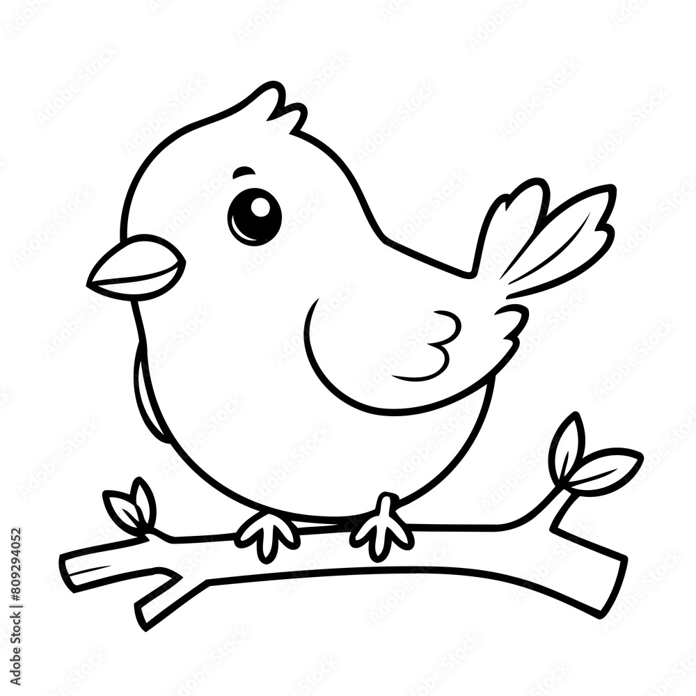 Fototapeta premium Vector illustration of a cute Bird drawing for colouring page
