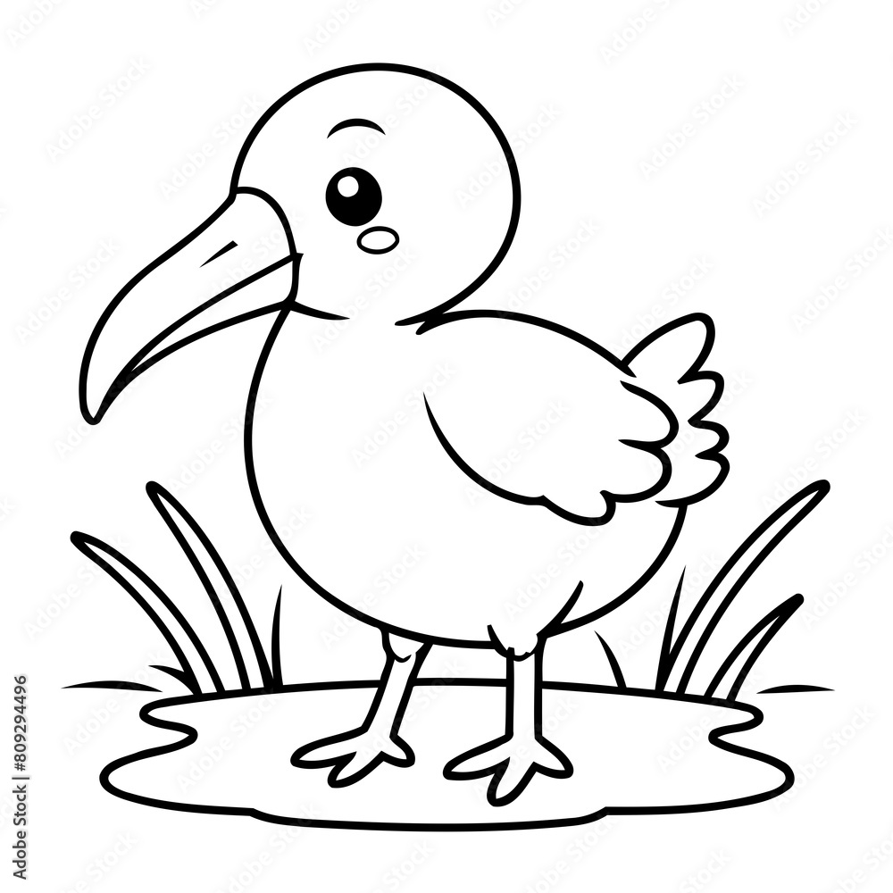 Vector illustration of a cute Ibis drawing colouring activity Vector illustration of a cute Ibis drawing colouring activity