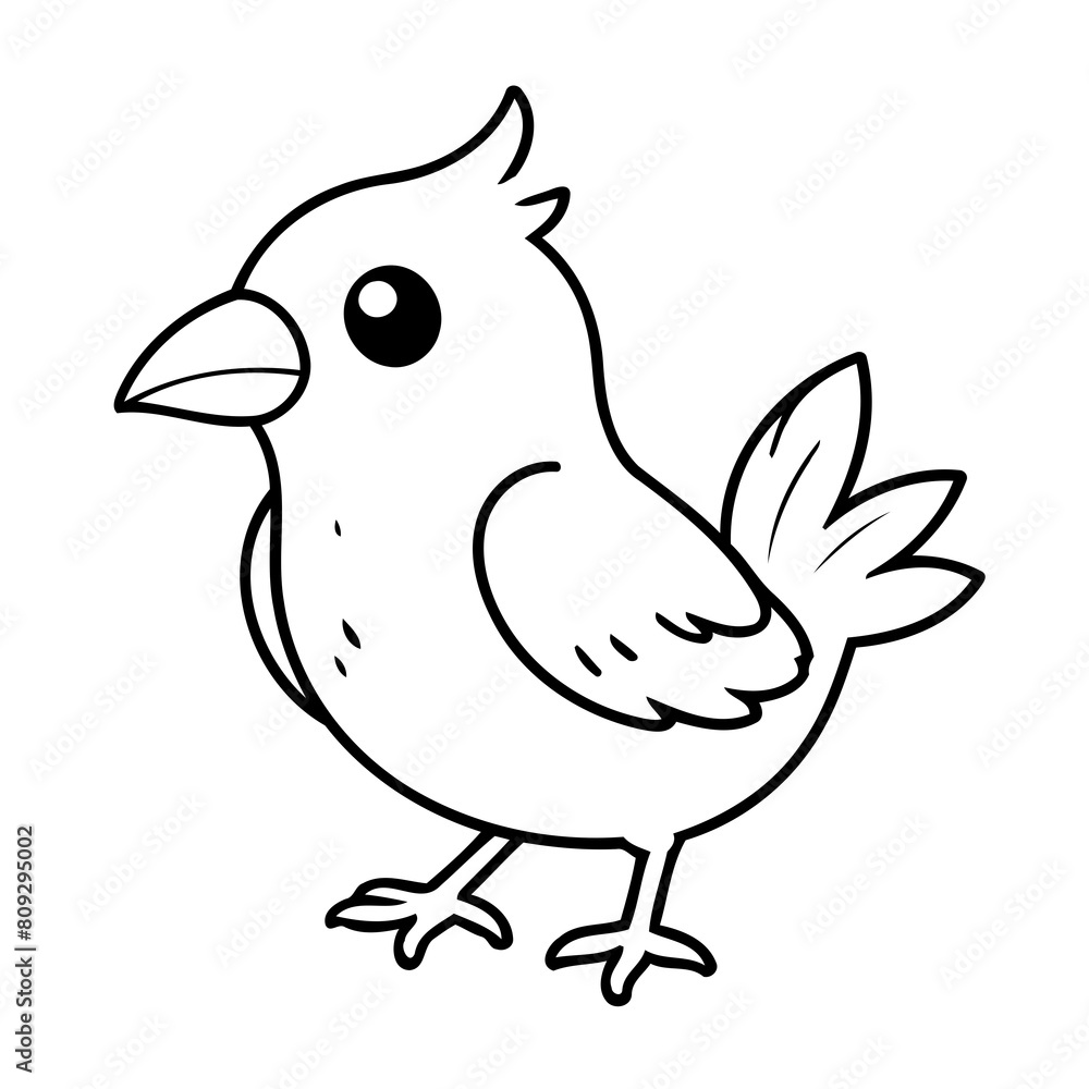 Simple vector illustration of ExoticBird drawing for toddlers colouring page