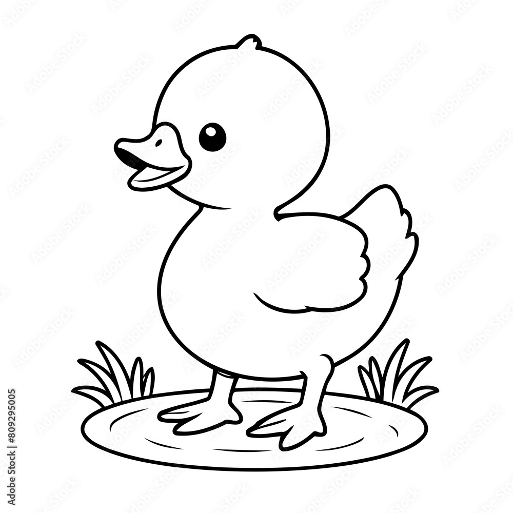 Simple vector illustration of Duck drawing for kids page Simple vector illustration of Duck drawing for kids page
