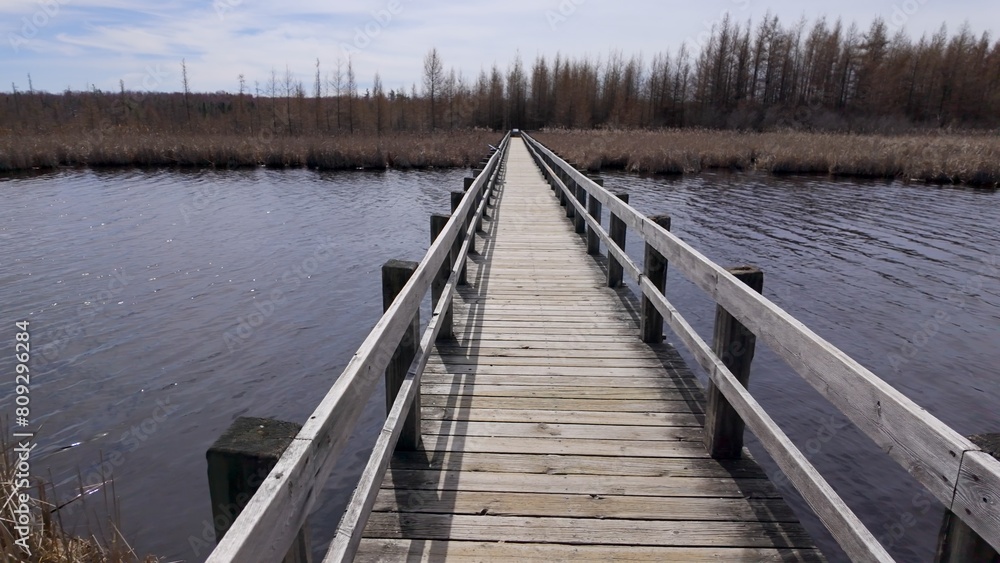 Obraz premium Mer Bleue National conservation area near Ottawa CANADA