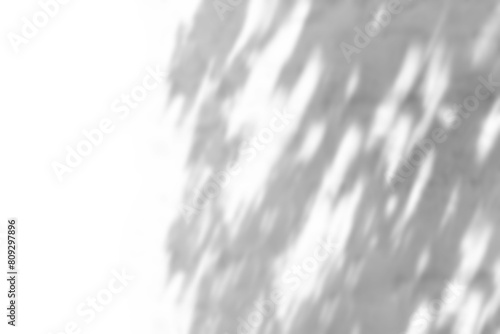 Tree shadow png overlay effect, transparent background photo