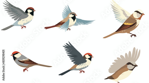 Set with different flying and sitting sparrow. Hand